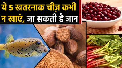 Red Soyabean, Puffer Fish, Jaifer, Casu Marzu and these 5 things can cause death | वननइंडिया हिंदी