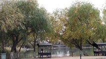 Gölbaşı Gölleri Tabiat Parkı'nda sonbahar güzelliği - ADIYAMAN