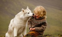 Mascotas: Cuando chocan perros y niños