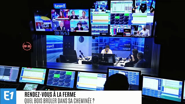 Feux de cheminée : il ne faut pas brûler n’importe quel bois !