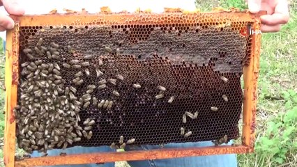 Okulu Bitmeden Üretime Başladı, Hem Okuyor Hem Üretiyor