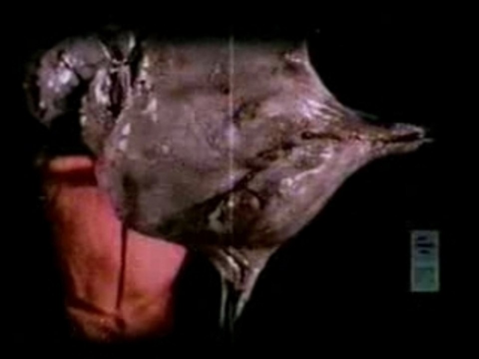Slipknot - Wait And Bleed