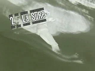 The perl project autrans 2008