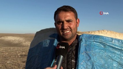 İki Yabancı Dil Bilen Aday Öğretmen Çobanlık Yapıyor