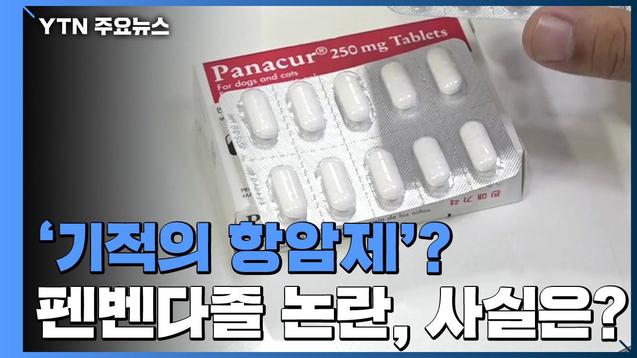 [팩트와이] '기적의 항암제' 펜벤다졸 논란, 어디까지 사실일까? / YTN