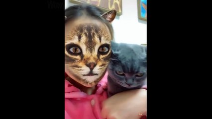 Cat and Dog Reaction to Cat Filter - Funny Cats & Dogs with Cat Filter