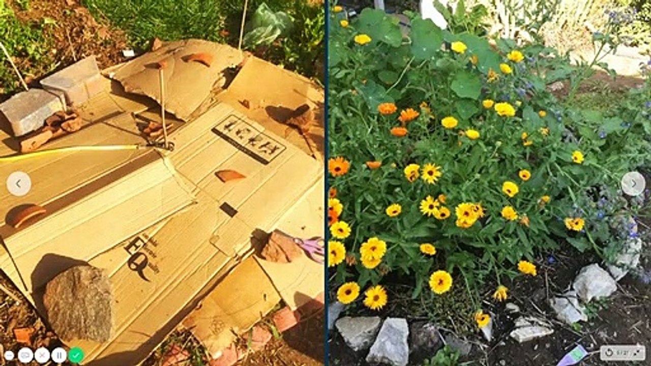 GIY Garden Yields