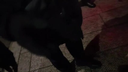 보수단체 남성들, YTN 기자 폭행...현행범 체포 / YTN