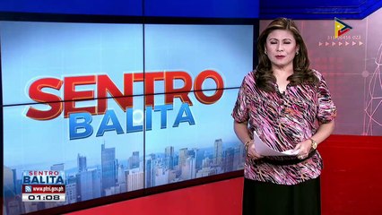 Mga senador, hati sa pagsibak kay VP Robredo bilang ICAD co-chair