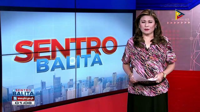 Mga senador, hati sa pagsibak kay VP Robredo bilang ICAD co-chair