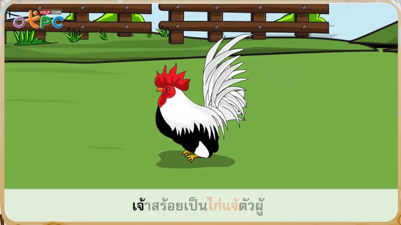 นิทาน เรื่อง ไก่แจ้ สัตว์เลี้ยงของฉัน