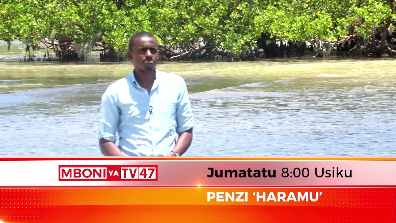 PENZI HARAMU EPSDC MBONI  PROMO