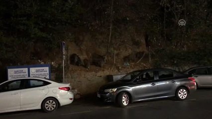 Sarıyerli vatandaşlar, mahallelerine inen yaban domuzlarını besliyor