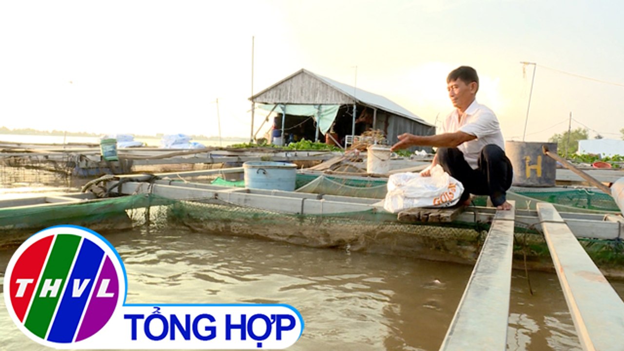 Ký sự truyền hình: Qua cù lao nước ngọt - Tập 7 | Bình yên trên cù lao Bình Thạnh