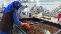 Manisa'dan Çin'e 3 milyon dolarlık kuru üzüm ihracatı için anlaşma imzalandı - İZMİR