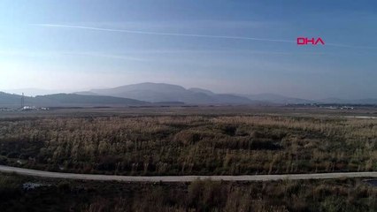 İzmir bataklık ve sazlık bölge, türkiye'nin en büyük jeotermal ısıtmalı serası olacak