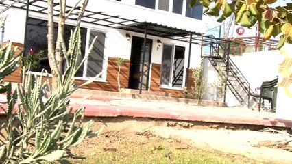 Arılara bateri çalıp üretimi arttırdı