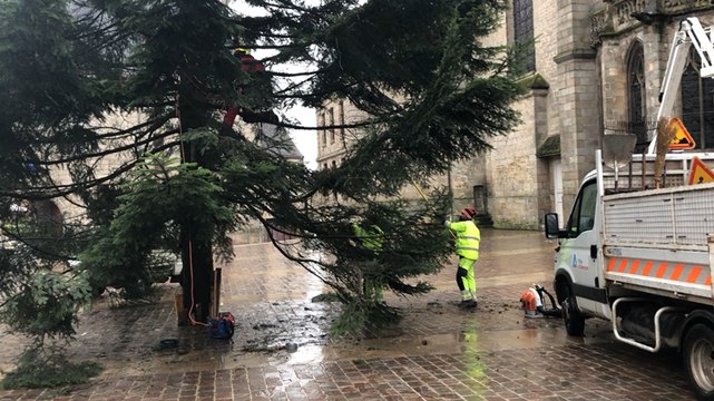 Le sapin de Noël s’installe au centre-ville