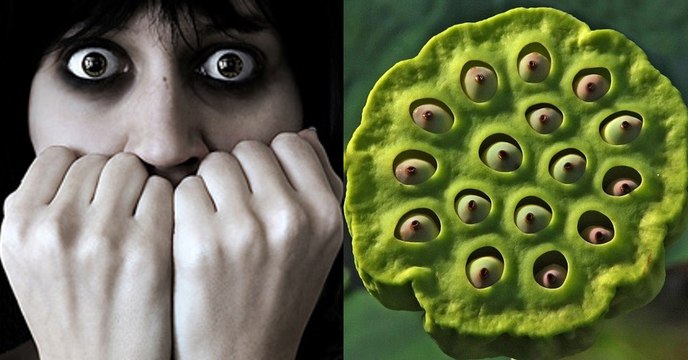 La phobie des trous a enfin une vraie explication scientifique