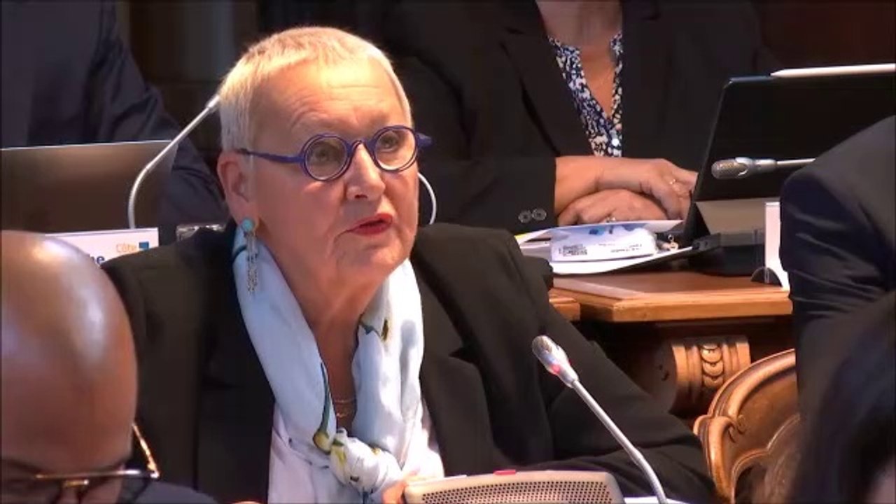 Colette POPARD. Discussion générale. Session DOB 2020 du 25 novembre 2019