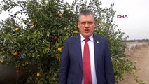 Adana ayhan barut narenciyede dfif destekleri ödensin