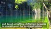 Enchanted Forest of Ghost Trees Rise Up Out of Kazakhstan Lake