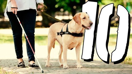10 niezwykłych faktów z życia OSÓB NIEWIDOMYCH [TOPOWA DYCHA]