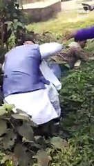 BJP Leader Joy Prakash Majumdar Manhandled And Kicked Allegedly By TMC Workers