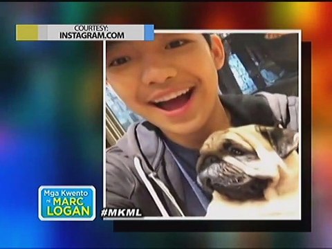 Stars and their bestie pets sa Mga Kwento ni Marc Logan