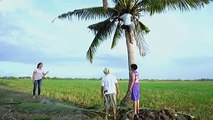 Pinang, nagulat nang makitang nasa itaas ng puno ng buko si Phil