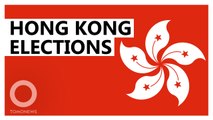 Hong Kong pro-democracy camp wins big in local elections