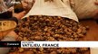 Французы отмечают ореховый праздник