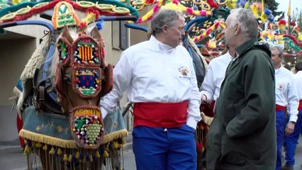 Une rivière de moutons à Istres