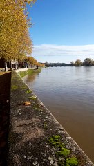 Lundi 25 novembre 2019, la Loire redescend à Digoin