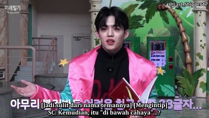 [INDO SUB] S.Coups and  Wonwoo Dingo Future Diary 1