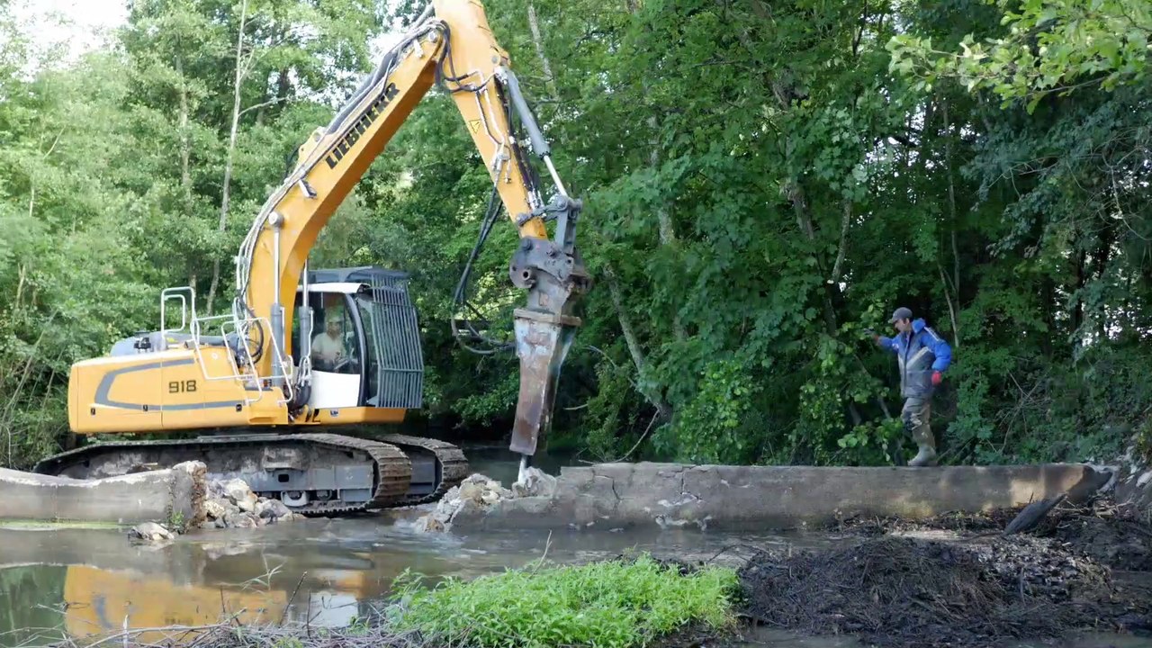 Démantèlement de l'ouvrage de Gobson sur la rivière du Dhuy - département du Loiret (45)