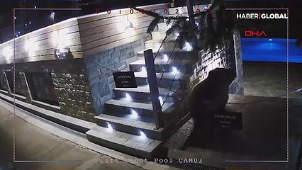 Havuz keyfi yapan ayı şimdi de reklam yıldızı oldu