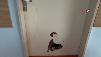 Pendik'te fırça ile odası basılan doktorun meslektaşı o anları anlattı