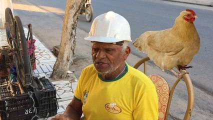 GALINHA DE 600 KG NA CAÇAROLA - JOÃO RAIMUNDO VERDADE PURA