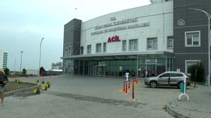 Sivrisinek ısırması sonucu virüs kapan kadın öldü