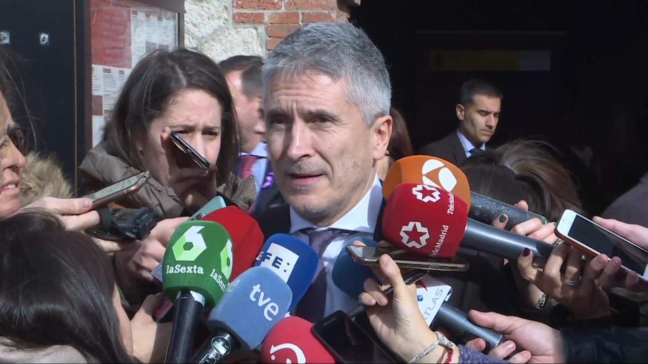 Marlaska, en contra de la postura de Vox frente a la violencia de género