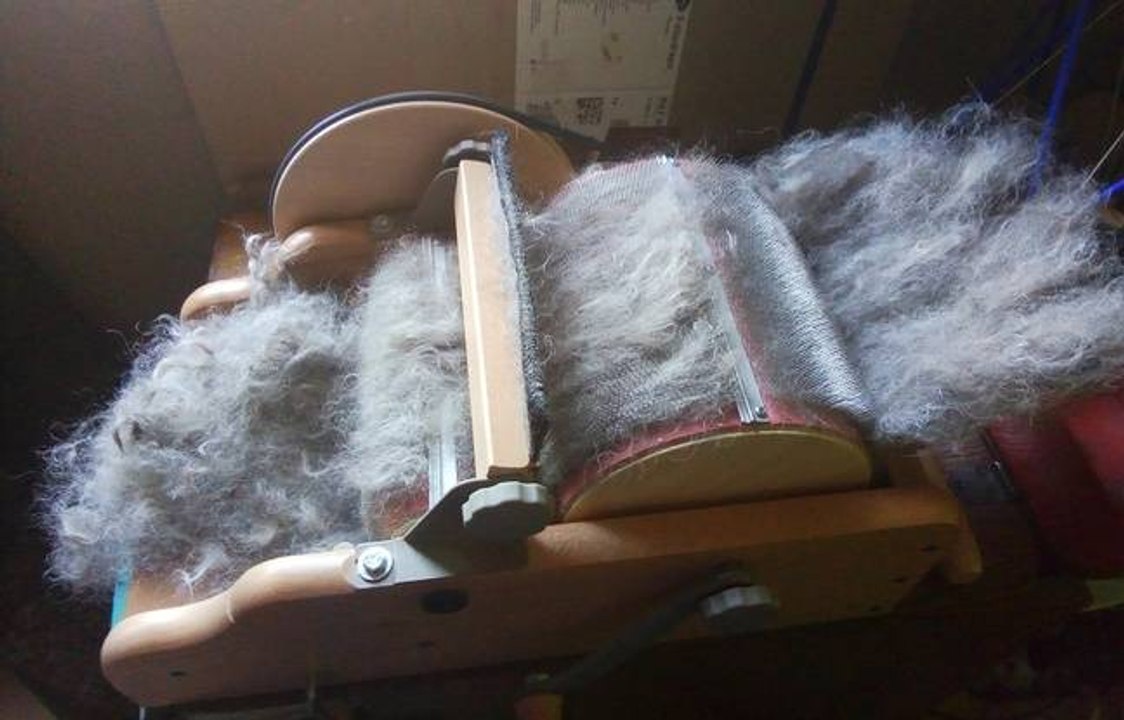 Stylaine Dogs : l'entreprise qui utilise les poils de chiens et chats pour fabriquer des vêtements !