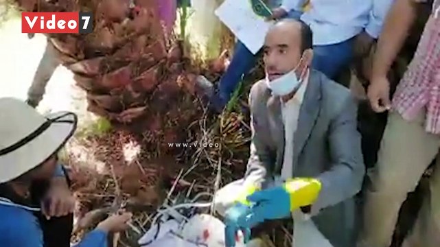 ابتكار جديد للتصدى لهجوم سوسة النخيل الحمراء