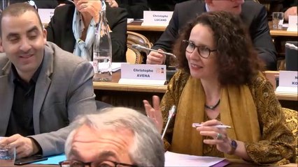 Sandrine HILY. Rapport sur les actions de développement durable. 25 novembre 2019