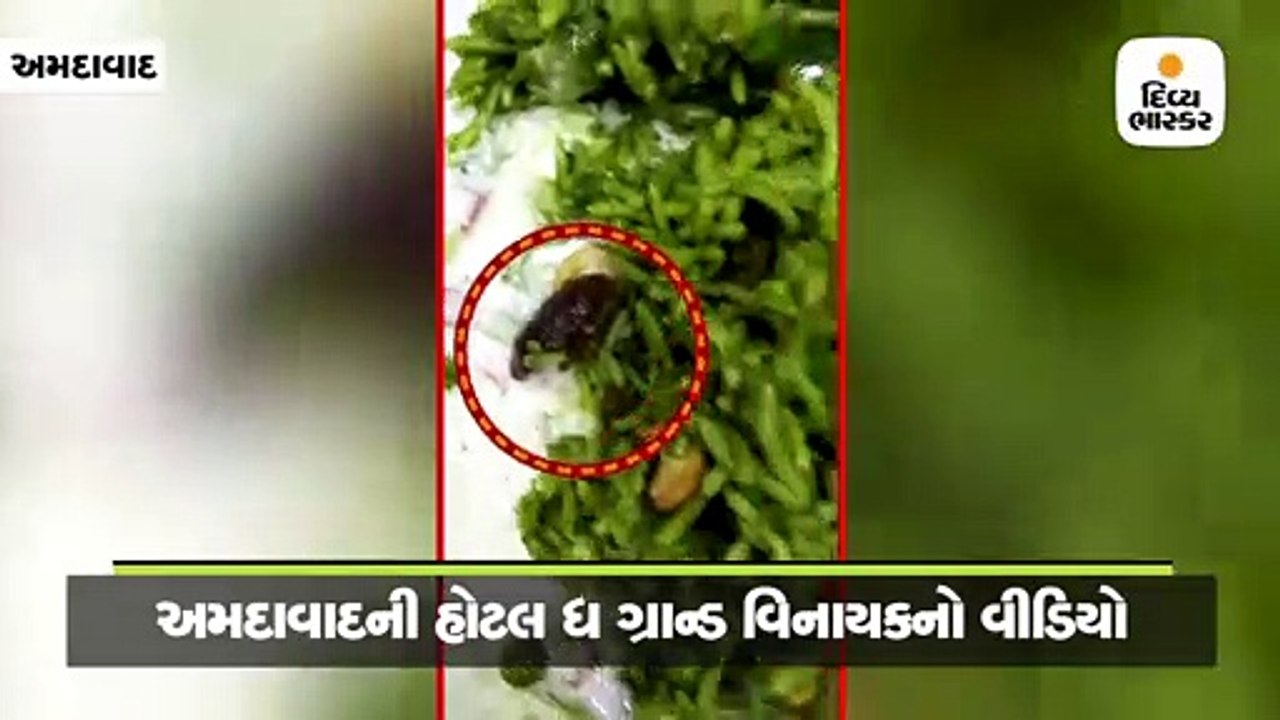 ઓઢવ રિંગ રોડ પરની હોટલ ધ ગ્રાન્ડ વિનાયકની બિરયાનીમાંથી વંદો નીકળ્યો, હોટેલ મેનેજમેન્ટે કહ્યું, ‘અમે રૂપિયા ના આપ્યાં એટલે અમને બદનામ કર્યાં’