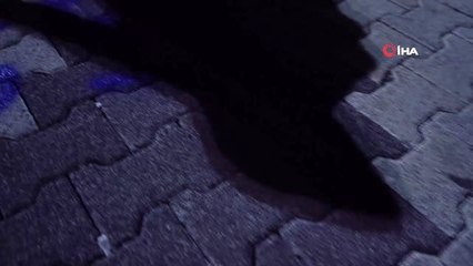 Kadıköy Belediyesi'nin kadın çalışanları "6284" için sokağa çıktı