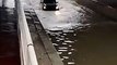 Des idiots pensent pouvoir traverser les inondations en voiture...