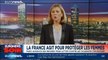 Euronews Soir : l'actualité du lundi 25 novembre 2019