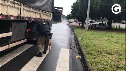 Quem era a K9 Lua