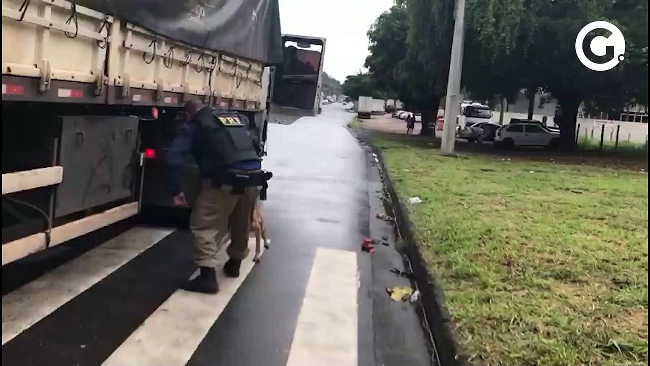 Quem era a K9 Lua